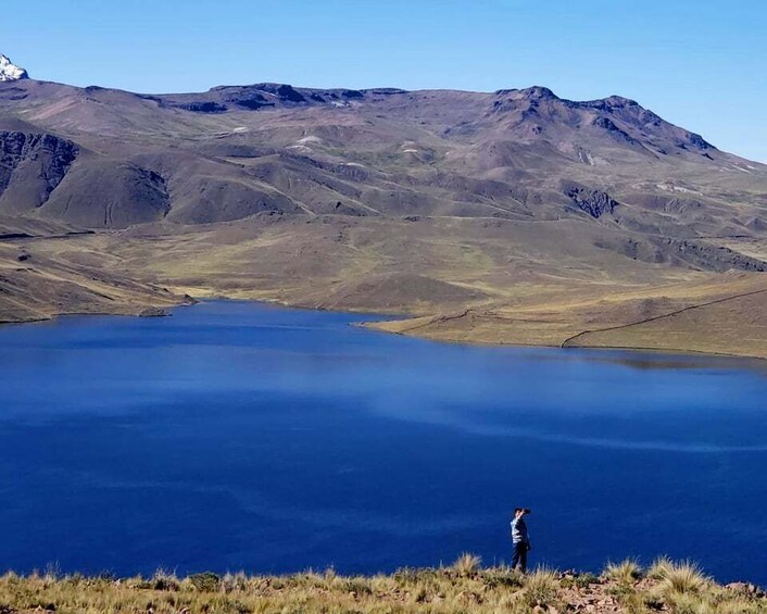 Picture 3 for Activity From Puno: 2-Day Colca Canyon Tour to Arequipa