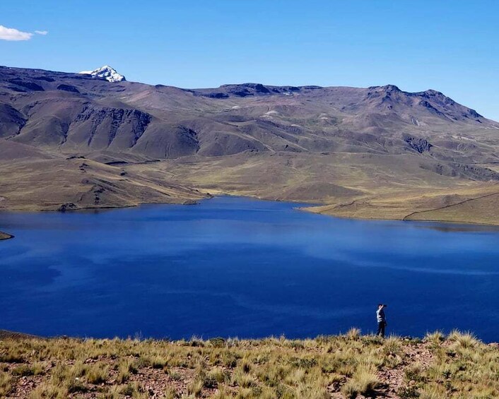 Picture 3 for Activity From Puno: 2-Day Colca Canyon Tour to Arequipa