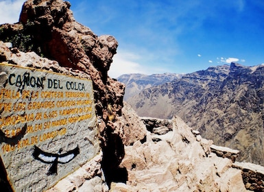 Desde Puno: tour de 2 días al Cañón del Colca a Arequipa