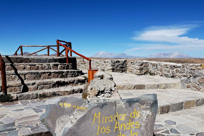 Picture 2 for Activity From Puno: 2-Day Colca Canyon Tour to Arequipa