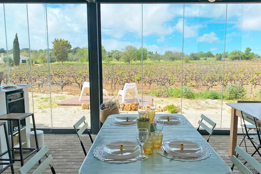 Picture 14 for Activity Lagos/Praia da Luz: Wine Tour, Tastings, Tapas, and Music