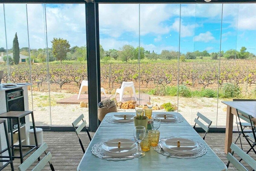 Picture 14 for Activity Lagos/Praia da Luz: Wine Tour, Tastings, Tapas, and Music
