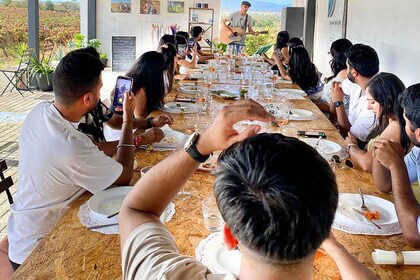 拉各斯/阳光海滩：葡萄酒之旅、品酒、小吃和音乐
