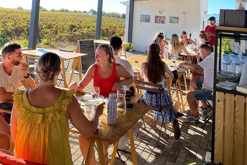 Picture 12 for Activity Lagos/Praia da Luz: Wine Tour, Tastings, Tapas, and Music