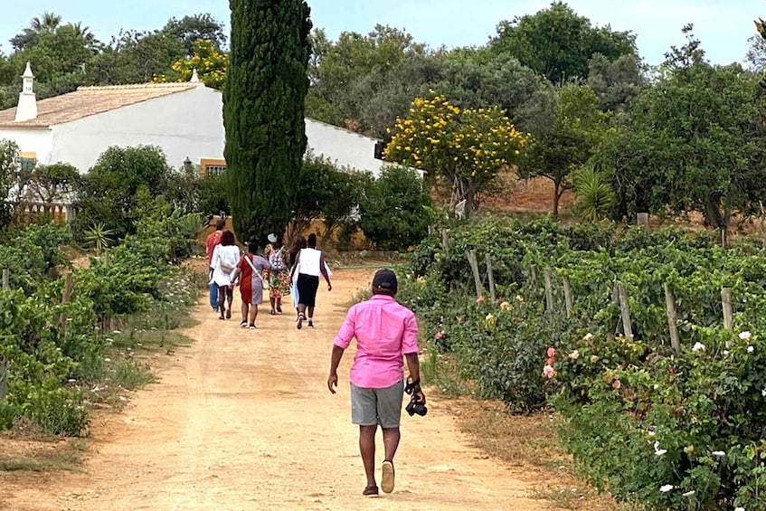 Lagos/Praia da Luz: Wine Tour, Tastings, Tapas, and Music