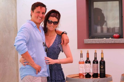 Lagos : Algarve Organic Wine Tour en Volkswagen T2 Van