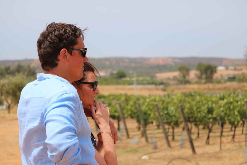 Picture 6 for Activity Lagos/Praia da Luz: Wine Tour, Tastings, Tapas, and Music