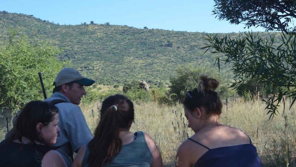 Picture 4 for Activity Sun City: Pilanesberg National Park Bush Walk