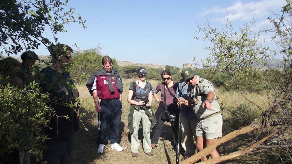 Picture 3 for Activity Sun City: Pilanesberg National Park Bush Walk