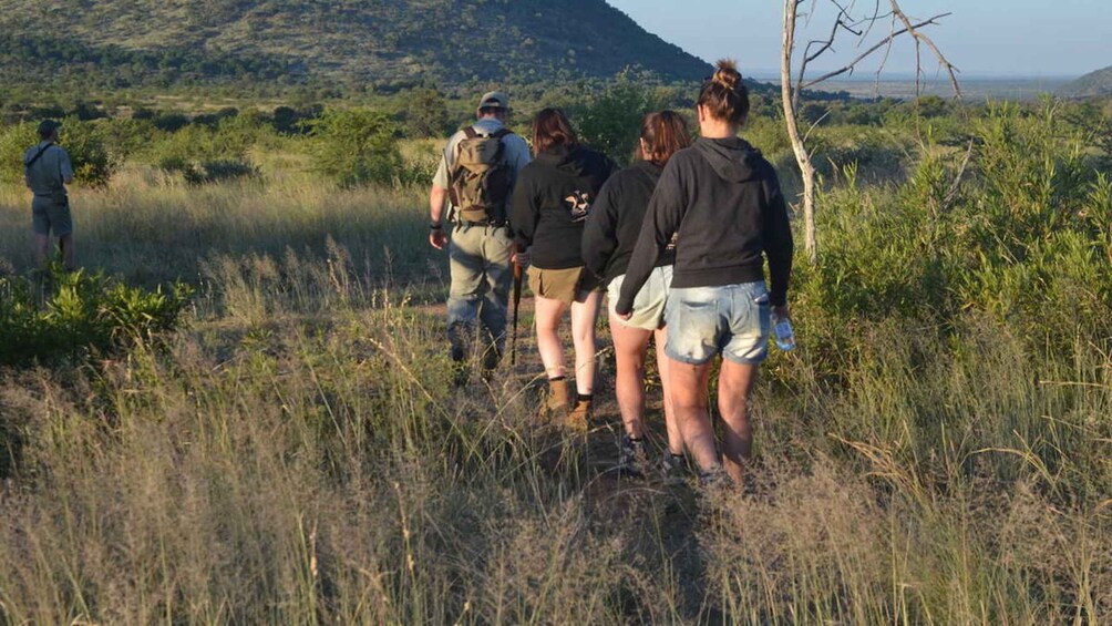 Picture 2 for Activity Sun City: Pilanesberg National Park Bush Walk