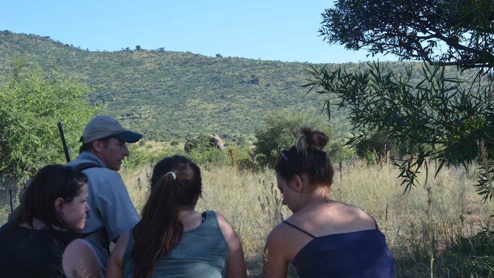 Picture 4 for Activity Sun City: Pilanesberg National Park Bush Walk