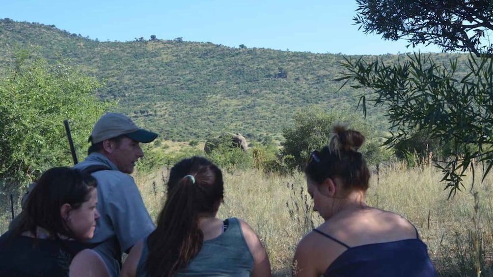 Picture 4 for Activity Sun City: Pilanesberg National Park Bush Walk