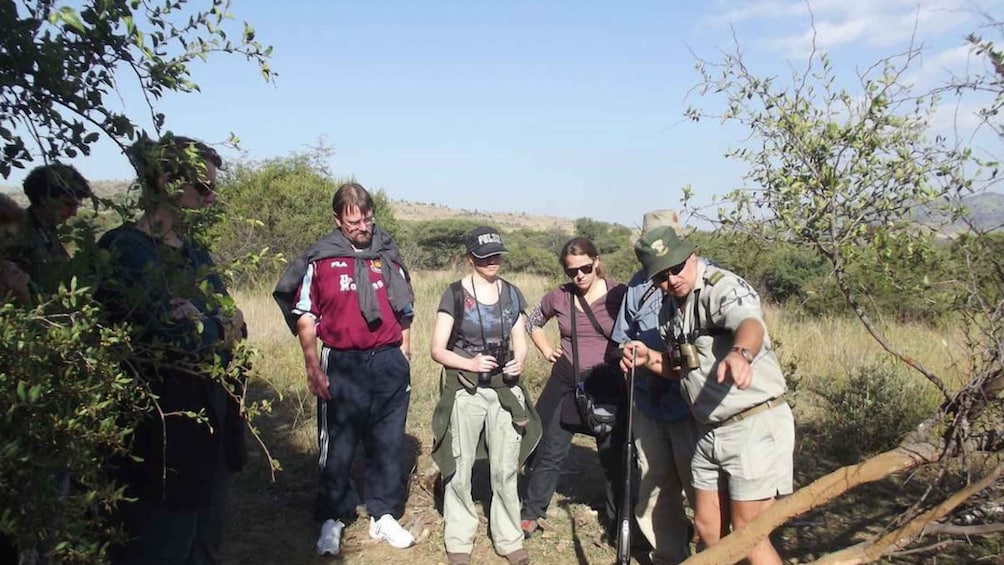 Picture 3 for Activity Sun City: Pilanesberg National Park Bush Walk