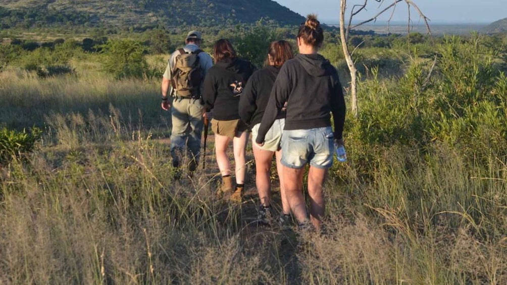 Picture 2 for Activity Sun City: Pilanesberg National Park Bush Walk