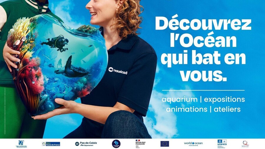 Nausicaá National Sea Center: Full-Day Entry Ticket