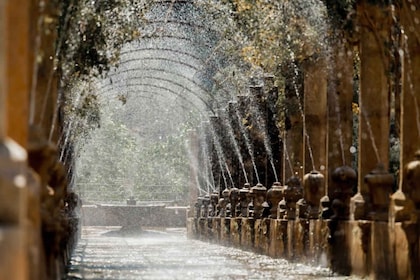 Sóller: Jardines de Alfabia Eintrittskarte