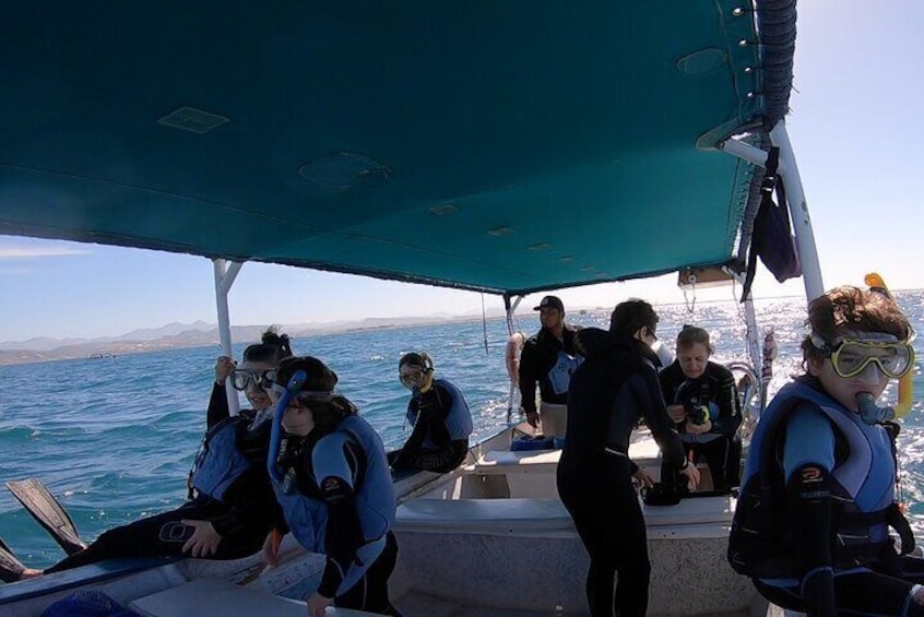 Ready to swim with whale sharks