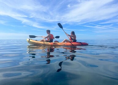 Can Pastilla: Kayak Rental