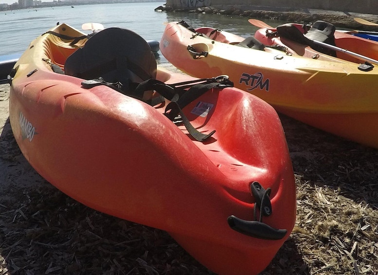 Picture 2 for Activity Bay of Palma Kayak Rental