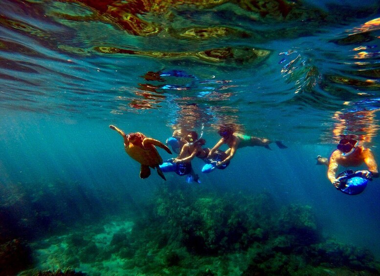 Picture 3 for Activity Wailea Beach: Guided Sea Scooter Snorkeling Tour