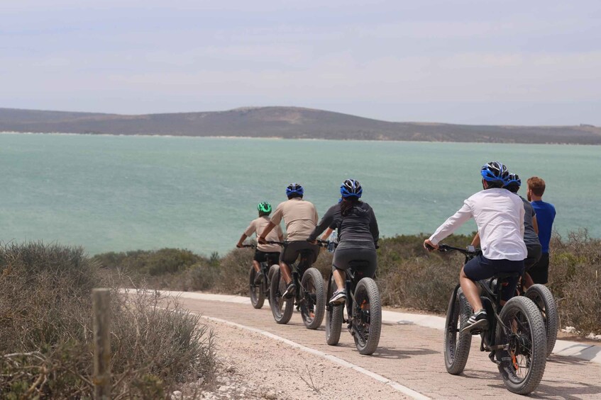 Picture 1 for Activity Cape Town: Guided e-Bike Safari Tour
