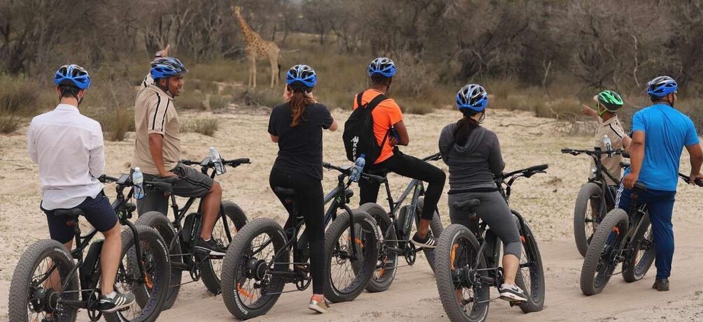Picture 6 for Activity Cape Town: Guided e-Bike Safari Tour
