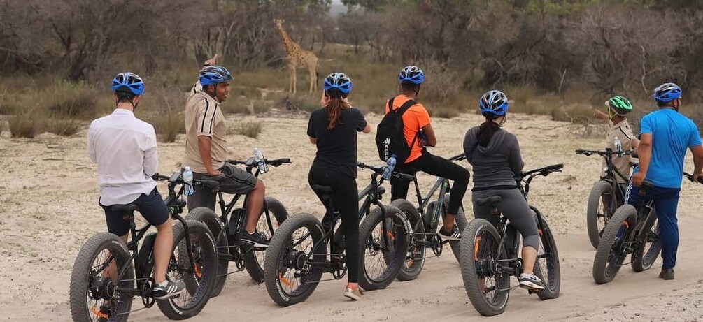 Picture 6 for Activity Cape Town: Guided e-Bike Safari Tour