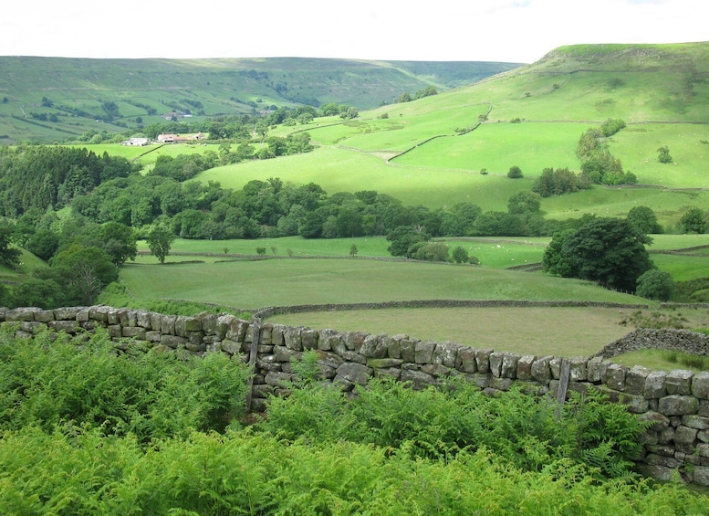 Picture 4 for Activity From York: Full-Day Yorkshire Dales Tour