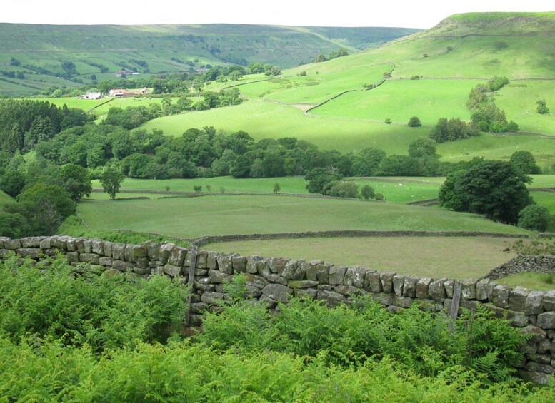 Picture 4 for Activity From York: Full-Day Yorkshire Dales Tour