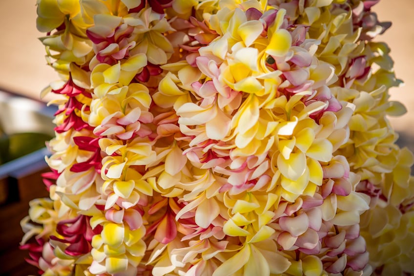 The Sunset Luau at the Waikoloa Beach Marriott Resort