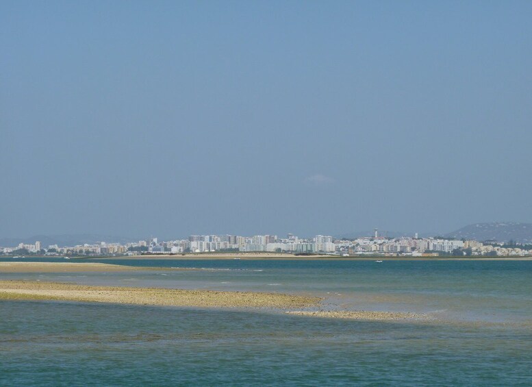 Picture 5 for Activity From Faro: 2-Island, 2-Stop Ria Formosa Catamaran Tour