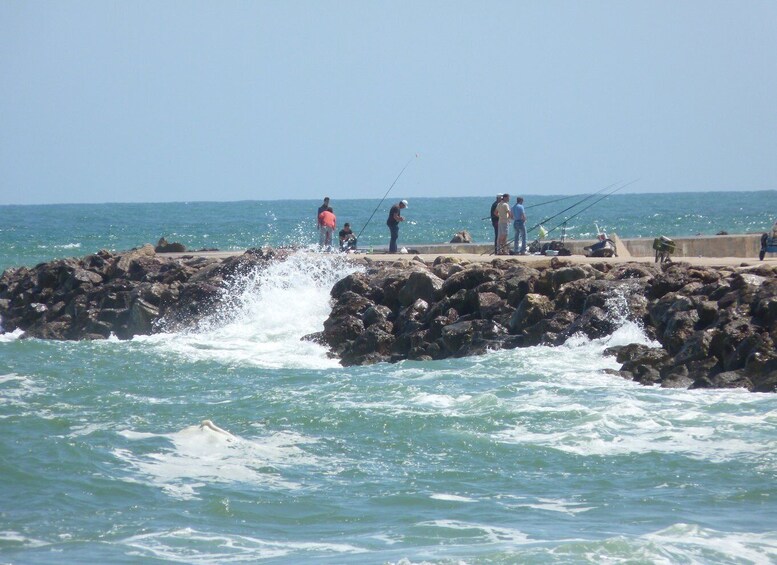 Picture 21 for Activity From Faro: 2-Island, 2-Stop Ria Formosa Catamaran Tour