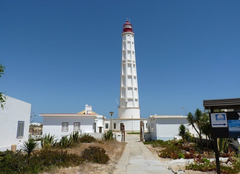 Picture 12 for Activity From Faro: 2-Island, 2-Stop Ria Formosa Catamaran Tour