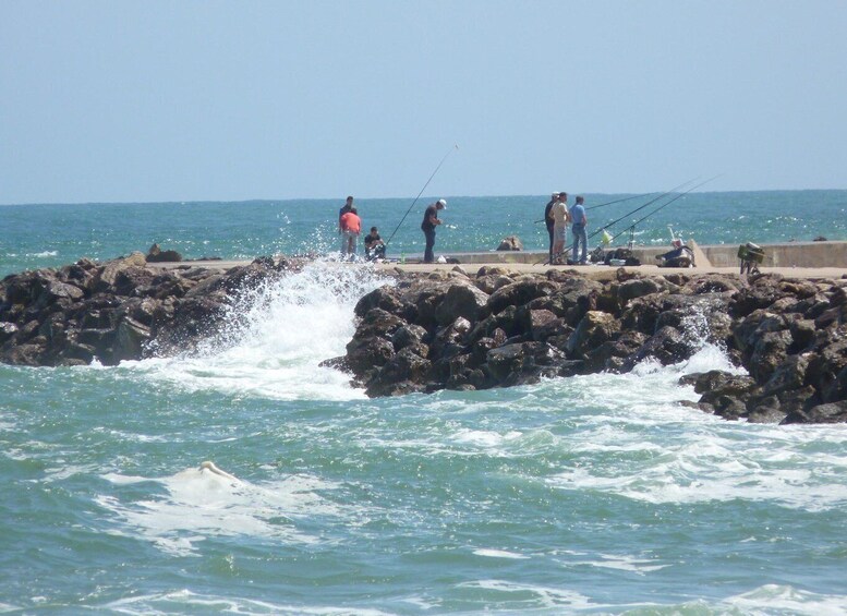 Picture 21 for Activity From Faro: 2-Island, 2-Stop Ria Formosa Catamaran Tour