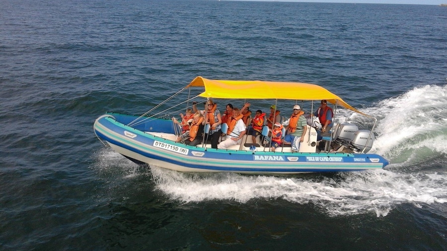 Durban: Durban: Whale and Dolphin Watching Boat Tour