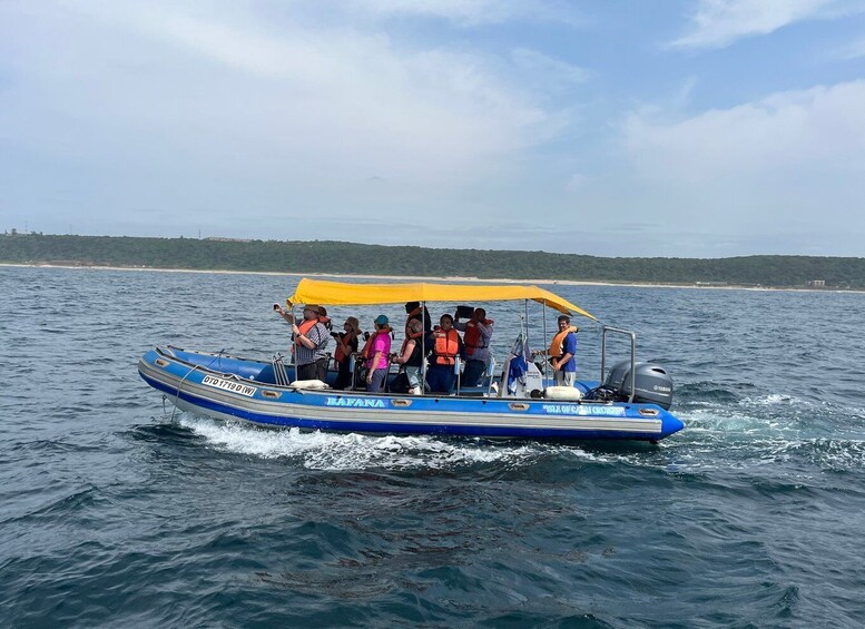 Picture 16 for Activity Durban: Durban: Whale and Dolphin Watching Boat Tour