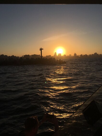 Picture 12 for Activity Durban: Durban: Whale and Dolphin Watching Boat Tour
