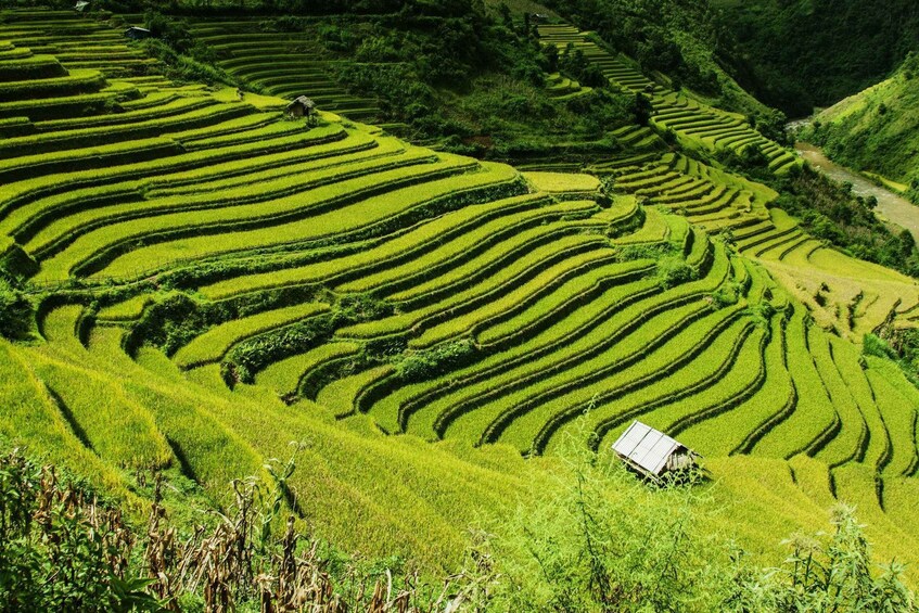 Guilin Longji Terraces Private Day Tour