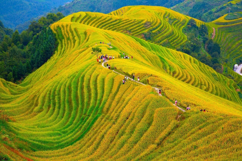 Picture 2 for Activity Guilin Longji Terraces Private Day Tour