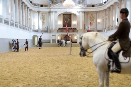 Vienna: Spanish Riding School Training