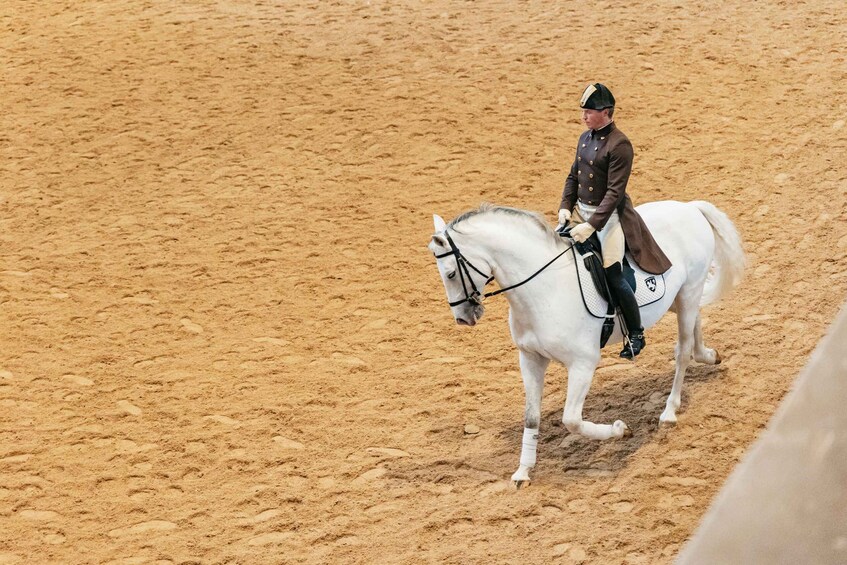 Picture 3 for Activity Vienna: Spanish Riding School Training