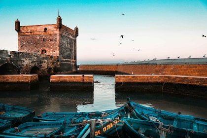 Agadir : Excursion guidée d'une journée à Essaouira