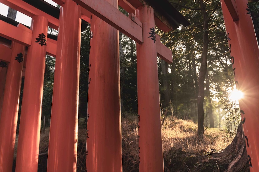 Picture 11 for Activity Kyoto: Morning Magic with red gates and sacred sites