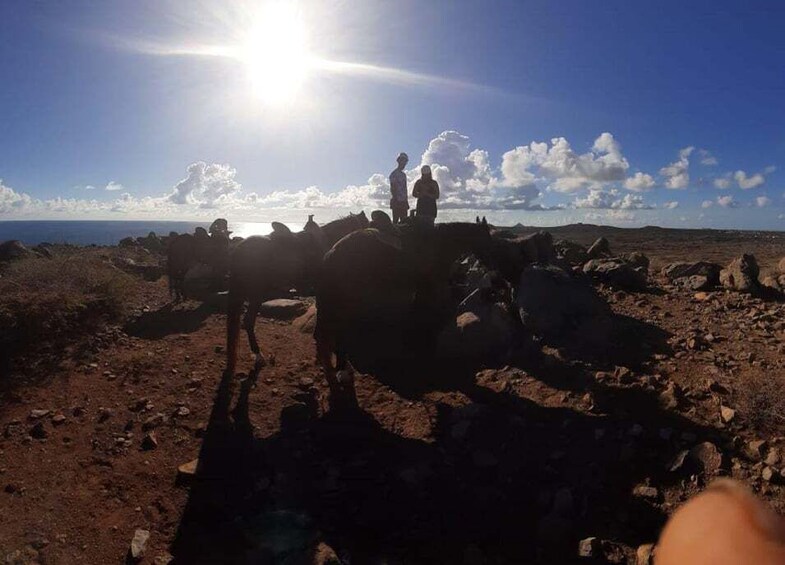 Picture 2 for Activity Sunset Horseback ride 1 1/2 hours