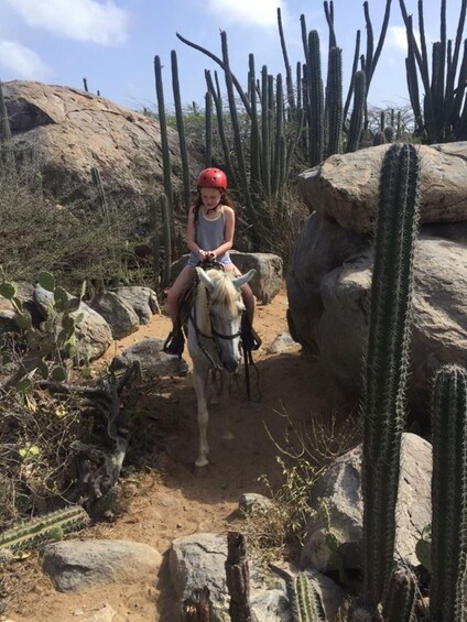 Picture 11 for Activity Sunset Horseback ride 1 1/2 hours