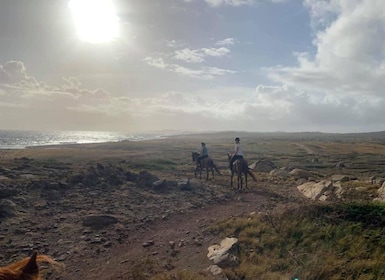 Sunset Horseback ride 1 1/2 hours