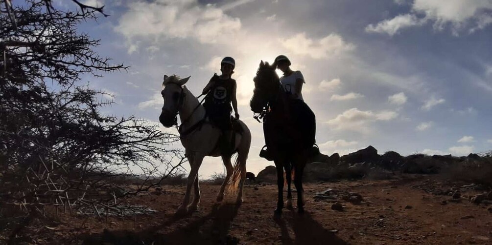 Picture 5 for Activity Sunset Horseback ride 1 1/2 hours