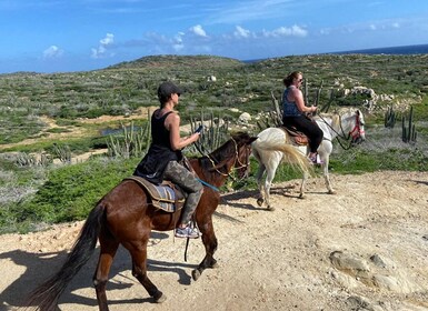 Sunset Horseback ride 1 1/2 hours