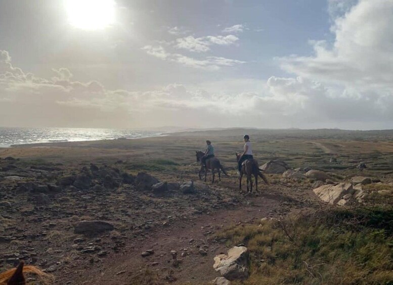 Picture 3 for Activity Sunset Horseback ride 1 1/2 hours