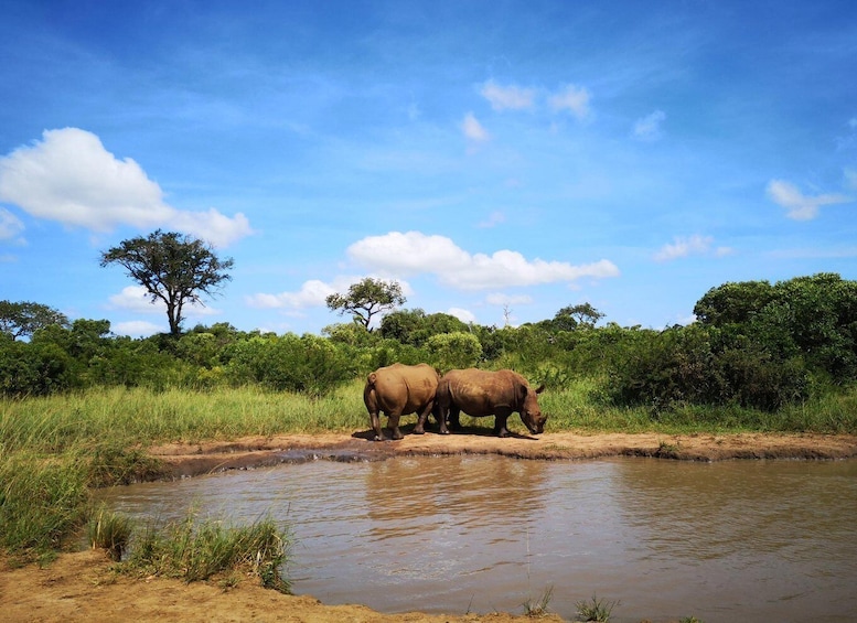 Picture 1 for Activity Durban: Hluhluwe Big 5 Safari with Pro Zeiss Binoculars